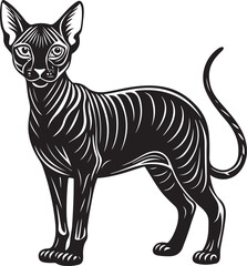 Cute cartoon zebra vector illustration in profile with black and white stripes isolated on white background