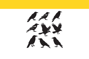 Collection of black crow silhouettes in various poses. Vector illustration set of ravens, isolated for graphic design.