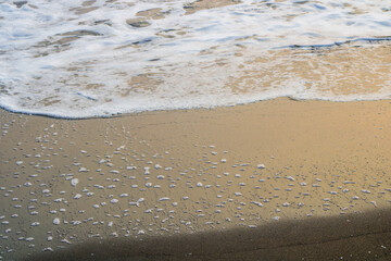 beach in the morning
