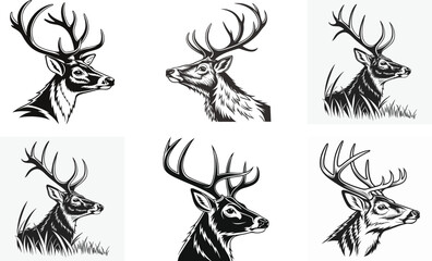 Deer Head Isolated on White Background – Realistic Wildlife Taxidermy, Animal Trophy Wall Mount, Stag Antlers, Forest Animal Portrait for Nature, Hunting, Rustic, or Cabin Decor Concepts

