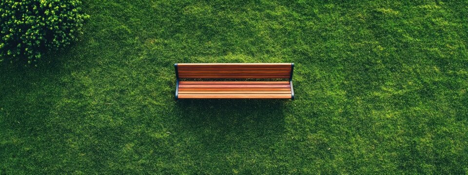 How to Make a Bench from Birds Eye View: Step-by-Step Guide