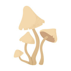 Poisonous false honey fungus mushroom. Vector on transparent background