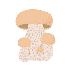 White mushroom. Vector on transparent background