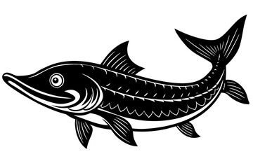 fish vector illustration