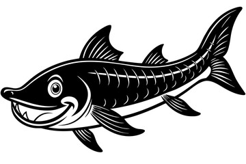 fish on white background