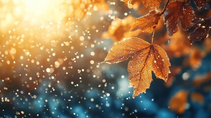 Fototapeta premium Golden Autumn Leaves with Dew in a Sunlit Forest Environment