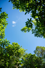 sky