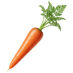 Fresh orange carrot with green leafy top isolated on transparent background