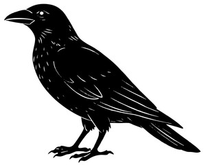 crow on a branch