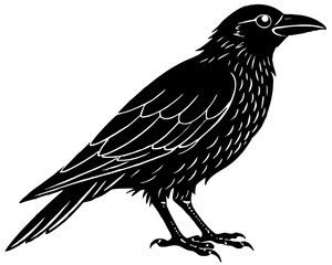 raven on a white background