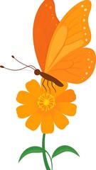 Orange butterfly perched on a vibrant orange flower with green stem and leaves