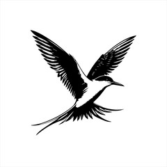 Obraz premium Stylized black and white graphic of a tern in flight with wings spread