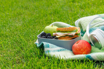 Picnic on a lawn with sandwiches and fruits