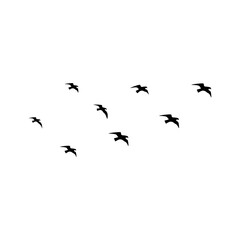 Vector solid black icon for Flock