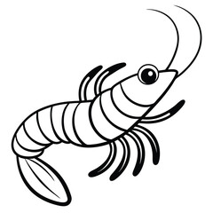 Shrimp isolated on white background, a delicious seafood crustacean