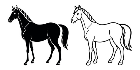 Horse run cycle. Walking trotting and galloping horse. Vector illustration isolated on a white background