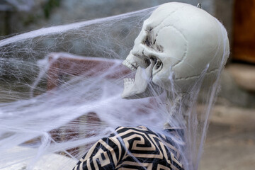 The Profile of a Human Skull for a Horror Scene. Concept The universal symbol of death.