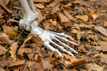 Halloween decoration of a skeleton foot, October Fear