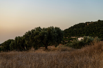 Paysage rural dans le nord-est de la Tunisie au lever du jour