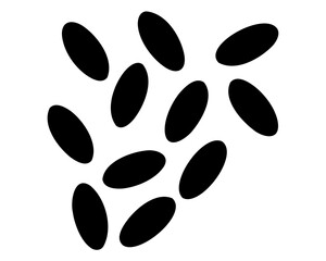 Seeds, Watermelon seeds isolated vector element 