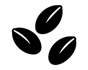 Seeds, Watermelon seeds isolated vector element 