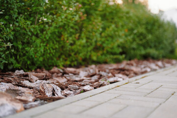 Close-up of urban sidewalk with neatly arranged light-colored pavers, bordered by bark mulch and...