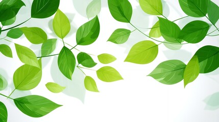 Watercolor Green Leaves Branch on White Background