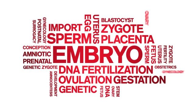 Embryo animated word cloud-text design animation tag kinetic typography seamless loop.