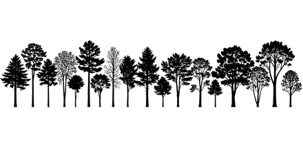 Silhouettes of various trees arranged in a horizontal row against a white background.