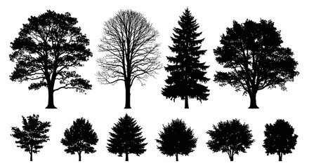 Silhouettes of various deciduous and coniferous trees against a white background.