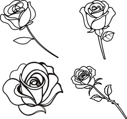 Rose Outlines A Collection of Detailed Line Art Floral Illustrations on white