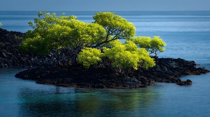 High-contrast island scene with vibrant green trees over black lava base, sunlit ocean