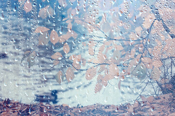 raindrops on glass blurred autumn background trees in the park, seasonal backdrop rainy weather