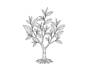 Hand Drawn Tree with Leaves and Roots Illustration Vector Illustration.