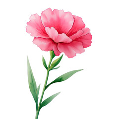 Beautiful Pink Flower with Green Leaves isolated on transparent background.