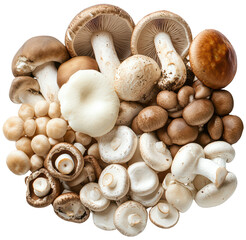 Variety of Fresh Mushrooms Arranged in an Aesthetic Display isolated on transparent background.