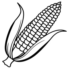 Outline of Ripe Corn with Husk 