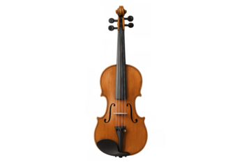Wooden violin isolated on transparent background with tuning pegs and chin rest