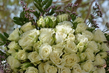 Floral background of faux roses is saddled with bright light