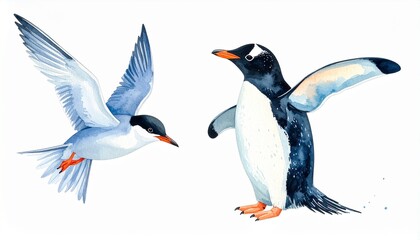 Fototapeta premium Beautiful watercolor illustration penguins, arctic tern. Hand drawn image of antarctic birds. Isolated objects on white background.