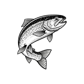 Rainbow trout fish jumping. Vintage black and white vector for fishing logo.