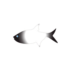 Minimalist fish illustration featuring a smooth black and white gradient body and a vibrant blue eye, isolated on a white background.