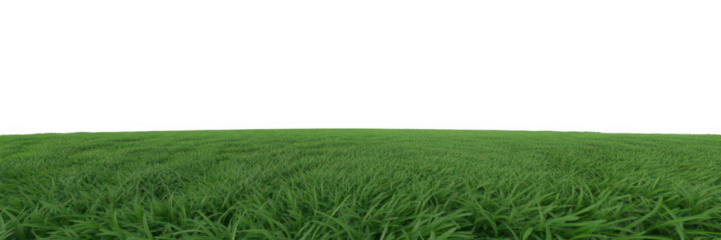 Rolling green grass field with a dark sky isolated on transparent background