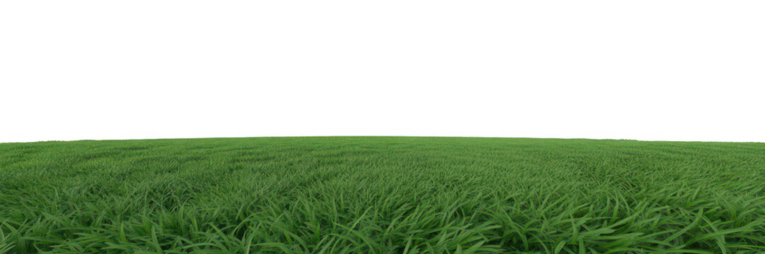 Rolling green grass field with a dark sky isolated on transparent background - Powered by Adobe