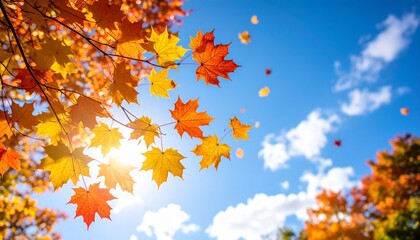 Sun-dappled autumn leaves in vibrant orange-yellow tones cling to spindly branches against a soft blue sky with scattered white clouds