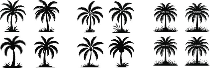 Fototapeta premium Black Silhouette Collection of Tropical Palm Trees with Grass on a White Background