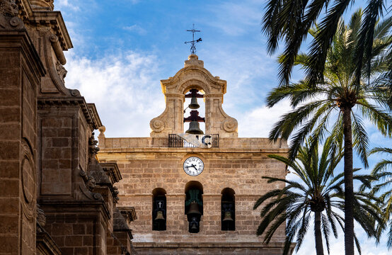 Historic Bell Tower Surrounded by Palm Trees in Almeria