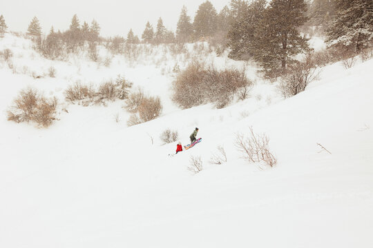 Kids sledding down snowy hill in winter wonderland