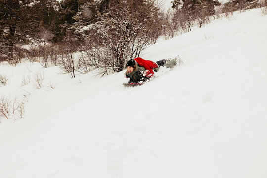 Boys sled down snowy hill in winter forest fun