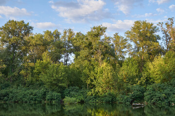 Fototapeta premium beautiful pond in the park